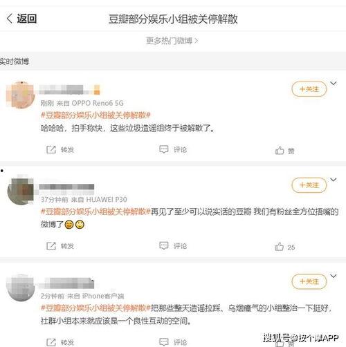 娱乐吃瓜小组长,幕后故事与热门事件大盘点
